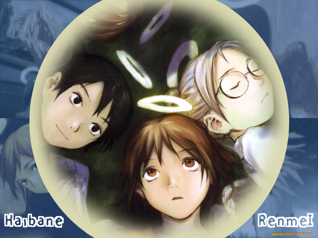 haibane, renmei, 